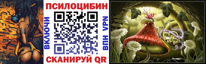 Галлюциногенные грибы Psilocybine cubensis  цены   Оренбург 