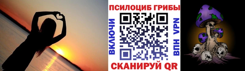 Псилоцибиновые грибы мицелий Оренбург